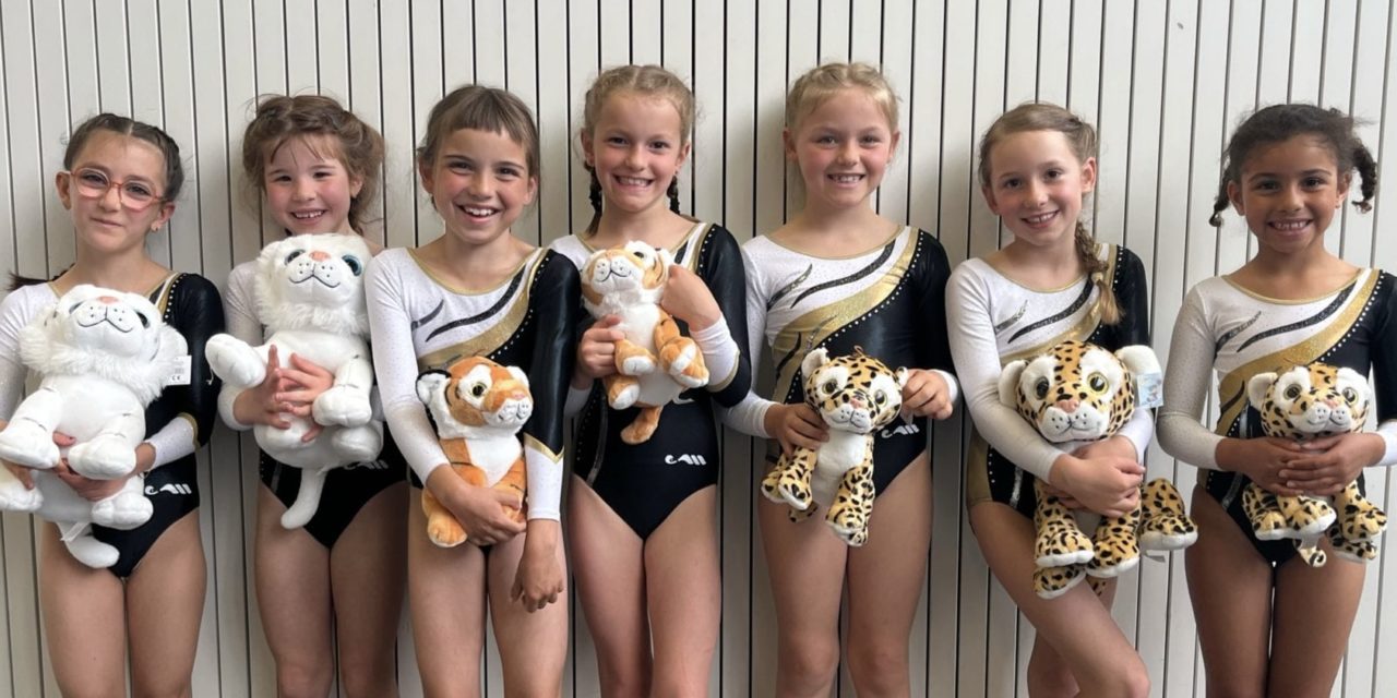 Zwei erfolgreiche Wettkampfwochenende für die Turnerinnen und Turner des Einzelgeräteturnens